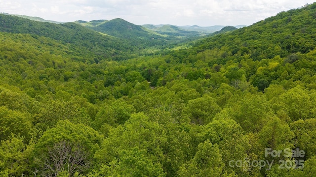 TBD Cove Gap Rd Multiple Lots, Multiple Lots, Moravian Falls, NC 28654 - photo 1