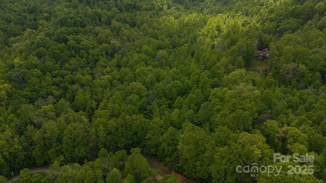 TBD Cove Gap Rd Multiple Lots, Multiple Lots, Moravian Falls, NC 28654 - photo 2