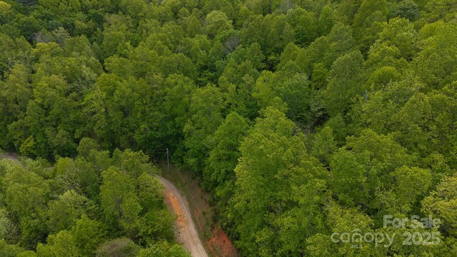 TBD Cove Gap Rd Multiple Lots, Multiple Lots, Moravian Falls, NC 28654 - photo 3