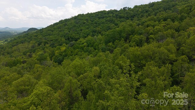 TBD Cove Gap Rd Multiple Lots, Multiple Lots, Moravian Falls, NC 28654 - photo 4