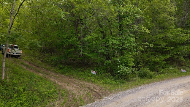 TBD Cove Gap Rd Multiple Lots, Multiple Lots, Moravian Falls, NC 28654 - photo 6