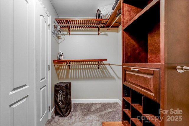 18631 Harborside Dr, Cornelius, NC 28031 - walk in closet featuring carpet