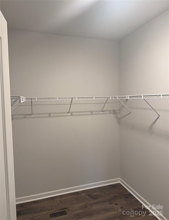 walk in closet featuring dark wood-style floors