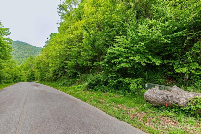 129 Mount Soma Blvd, Clyde, NC 28721