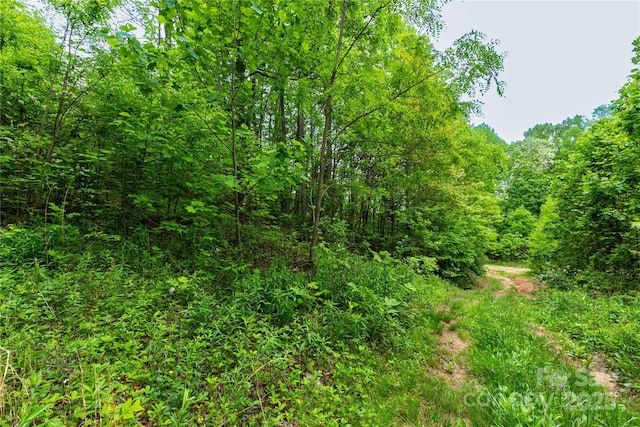 129 Mount Soma Blvd, Clyde, NC 28721