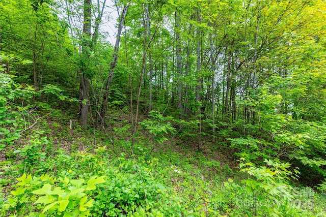 129 Mount Soma Blvd, Clyde, NC 28721