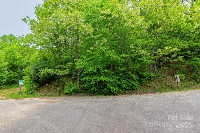 129 Mount Soma Blvd, Clyde, NC 28721