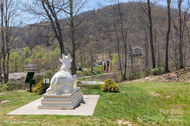 129 Mount Soma Blvd, Clyde, NC 28721