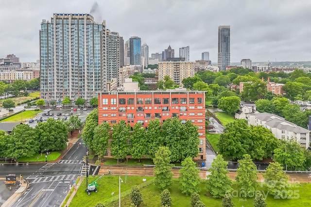 715 N Church St Unit 613, Charlotte, NC 28202 - city view