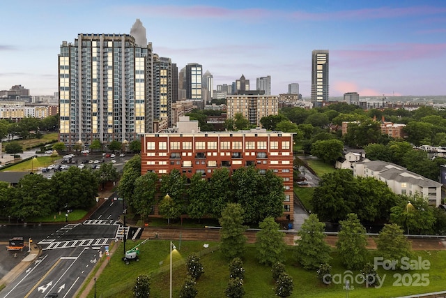 715 N Church St Unit 613, Charlotte, NC 28202 - view of city