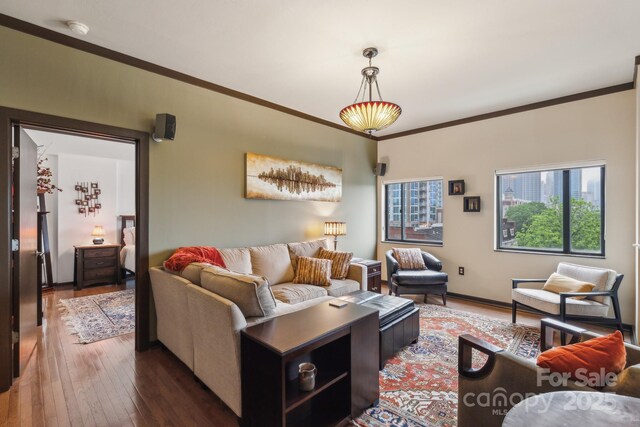 715 N Church St Unit 613, Charlotte, NC 28202 - living room with hardwood / wood-style flooring, ornamental molding, and baseboards