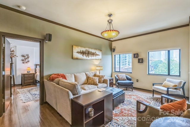 715 N Church St Unit 613, Charlotte, NC 28202 - living room featuring wood-type flooring and crown molding