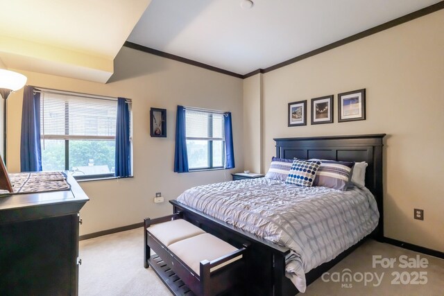 715 N Church St Unit 613, Charlotte, NC 28202 - carpeted bedroom with baseboards and ornamental molding