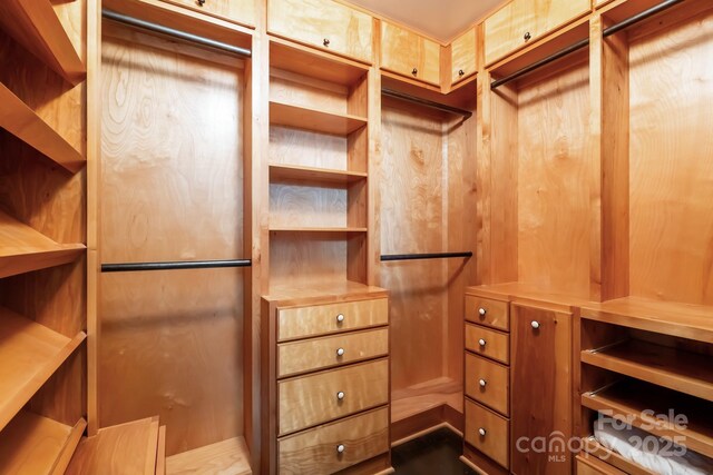 715 N Church St Unit 613, Charlotte, NC 28202 - view of spacious closet