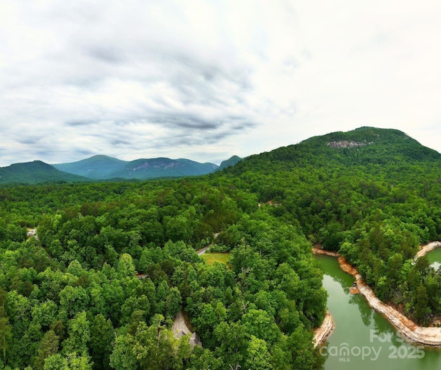 LOT14 Holmstead Dr, Lake Lure, NC 28746 - photo 2