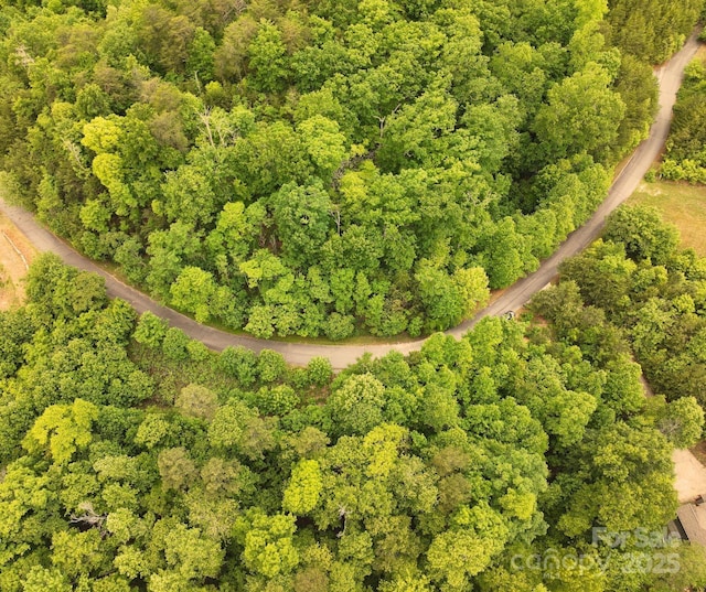 LOT14 Holmstead Dr, Lake Lure, NC 28746 - photo 3