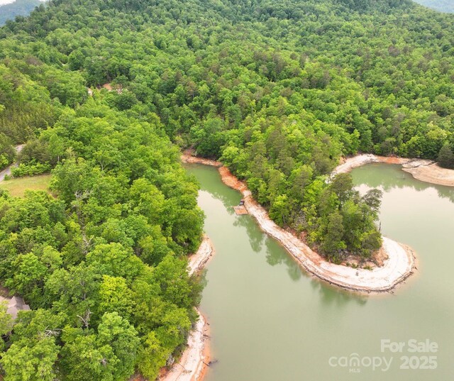 LOT14 Holmstead Dr, Lake Lure, NC 28746 - photo 5