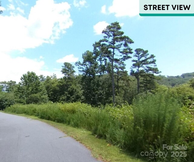LOT14 Holmstead Dr, Lake Lure, NC 28746 - photo 9