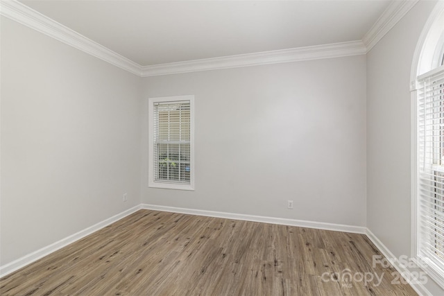 11526 Mcginns Trace Ct, Charlotte, NC 28277 - unfurnished room featuring ornamental molding, wood finished floors, baseboards, and healthy amount of natural light