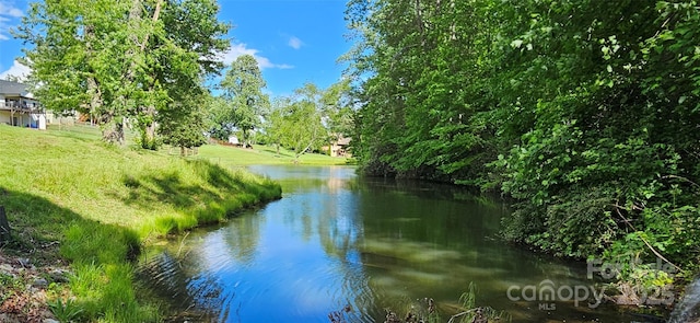 29 Farm Pond Ln, Candler, NC 28715 - photo 27