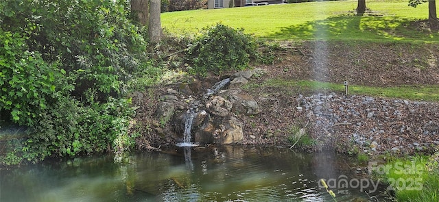 29 Farm Pond Ln, Candler, NC 28715 - photo 29