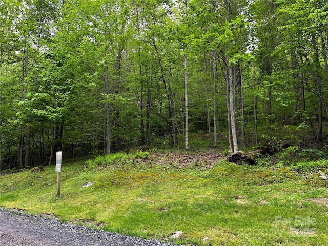 1 Pearl Way, Mars Hill, NC 28754