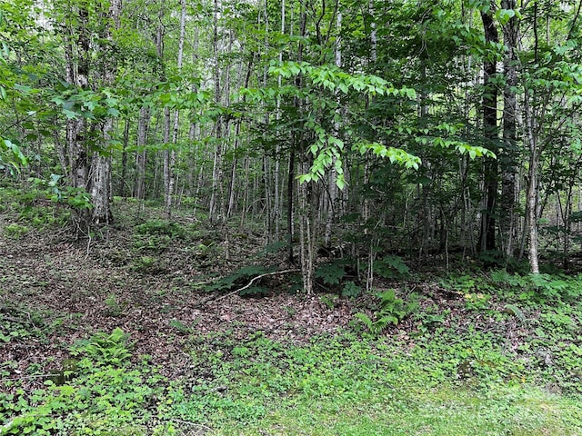 1 Pearl Way, Mars Hill, NC 28754