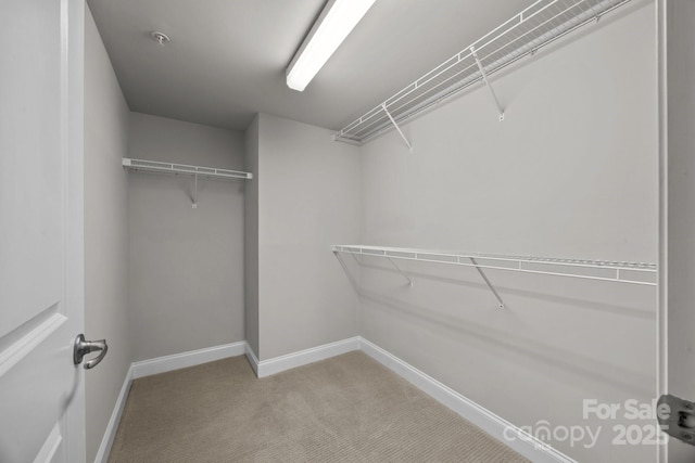 120F Steinbeck Way, Mooresville, NC 28117 - spacious closet with light carpet