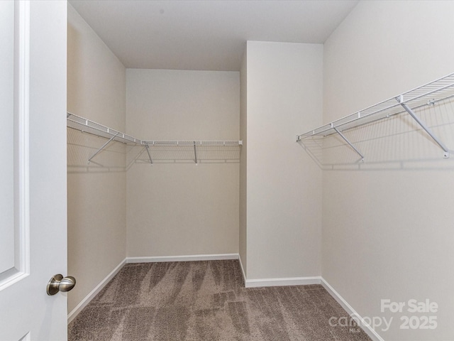 134 Kerri Dawn Ln Unit 117, Locust, NC 28097 - walk in closet featuring carpet floors