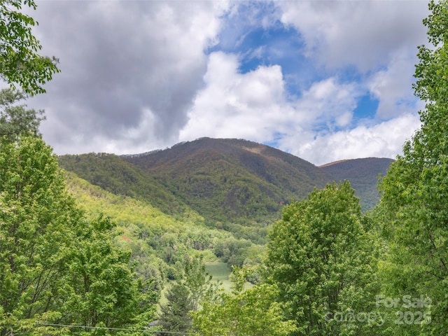 227 Soco Acres Rd, Maggie Valley, NC 28751 - mountain view