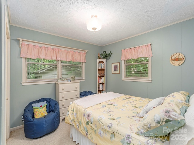 227 Soco Acres Rd, Maggie Valley, NC 28751 - carpeted bedroom with crown molding and a textured ceiling