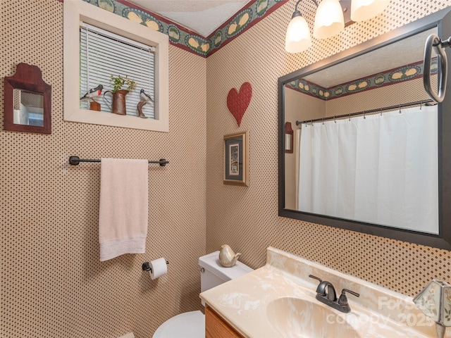 227 Soco Acres Rd, Maggie Valley, NC 28751 - bathroom with toilet, vanity, and curtained shower