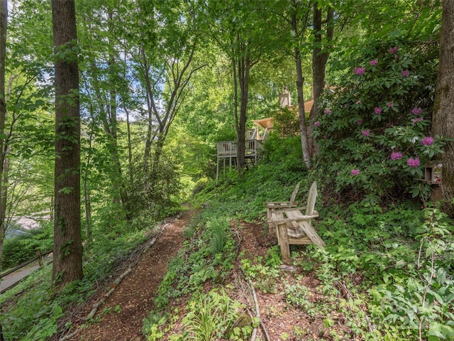 227 Soco Acres Rd, Maggie Valley, NC 28751 - view of yard with a view of trees