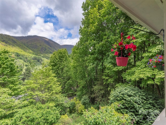 227 Soco Acres Rd, Maggie Valley, NC 28751 - view of mountain backdrop