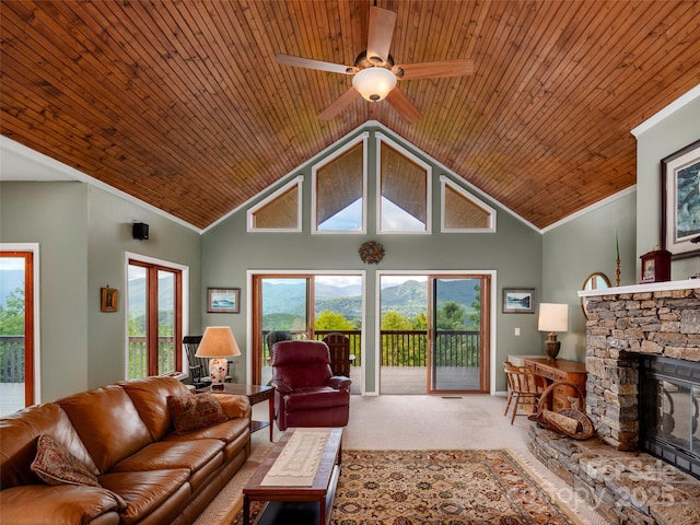 29 Egret Ct, Waynesville, NC 28786 - photo 4