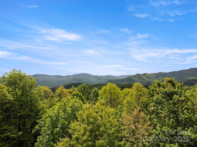 29 Egret Ct, Waynesville, NC 28786 - photo 9