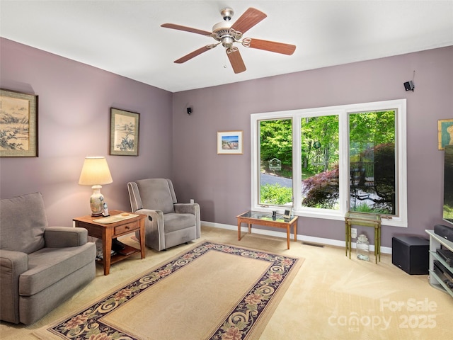 29 Egret Ct, Waynesville, NC 28786 - photo 17