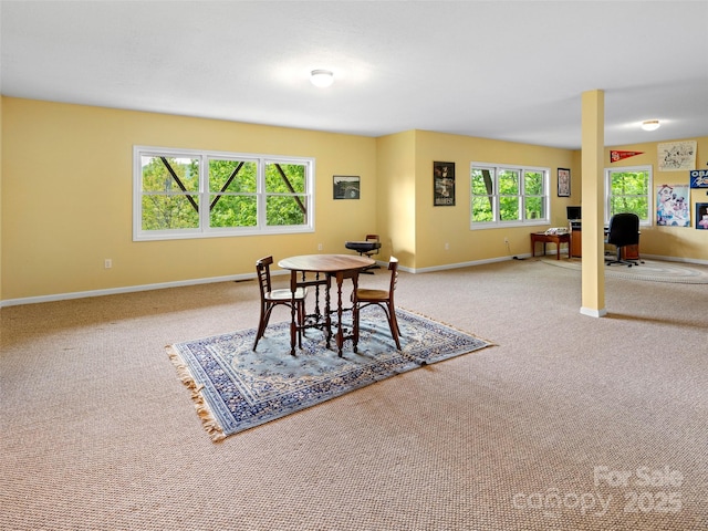 29 Egret Ct, Waynesville, NC 28786 - photo 27