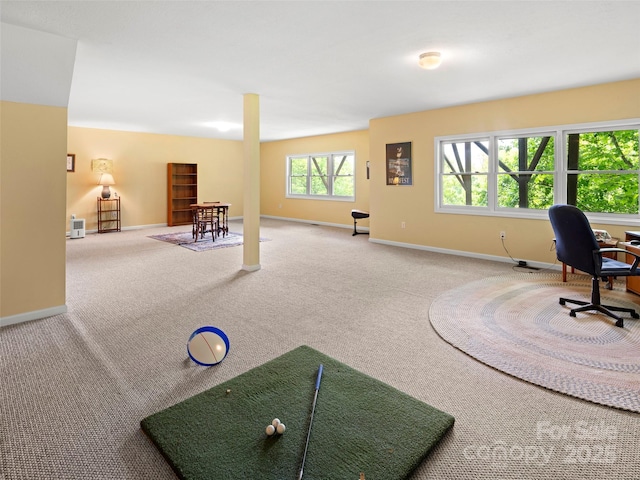 29 Egret Ct, Waynesville, NC 28786 - photo 29