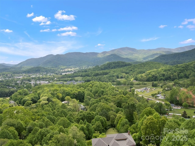 29 Egret Ct, Waynesville, NC 28786 - photo 34