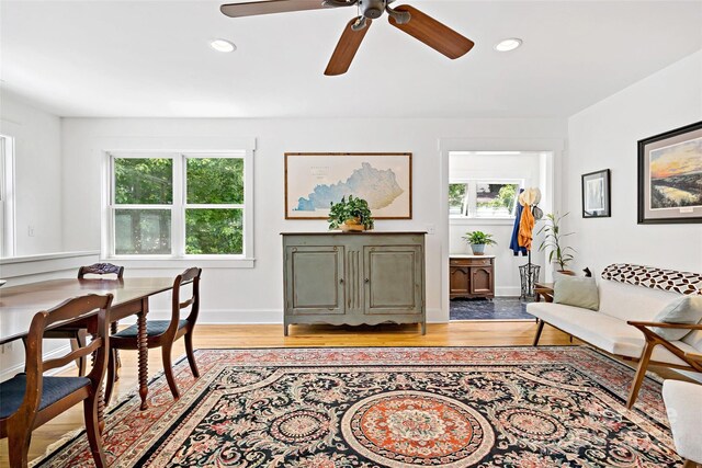 24 Browndale Rd, Asheville, NC 28805 - living room featuring plenty of natural light, a ceiling fan, light wood-style flooring, recessed lighting, and baseboards