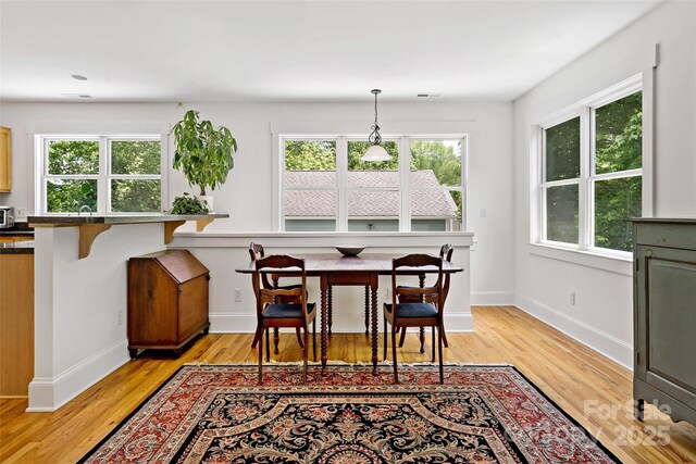 24 Browndale Rd, Asheville, NC 28805 - dining room with light wood finished floors, plenty of natural light, and baseboards