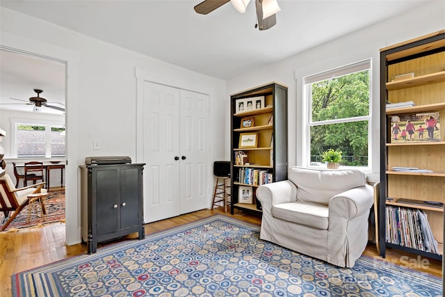 24 Browndale Rd, Asheville, NC 28805 - living area featuring ceiling fan and wood finished floors