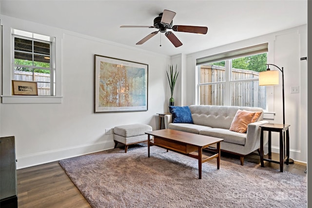 24 Browndale Rd, Asheville, NC 28805 - living area featuring wood finished floors, a ceiling fan, and baseboards