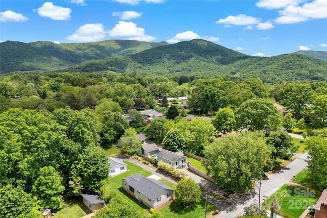 24 Browndale Rd, Asheville, NC 28805 - drone / aerial view of a forest and mountains