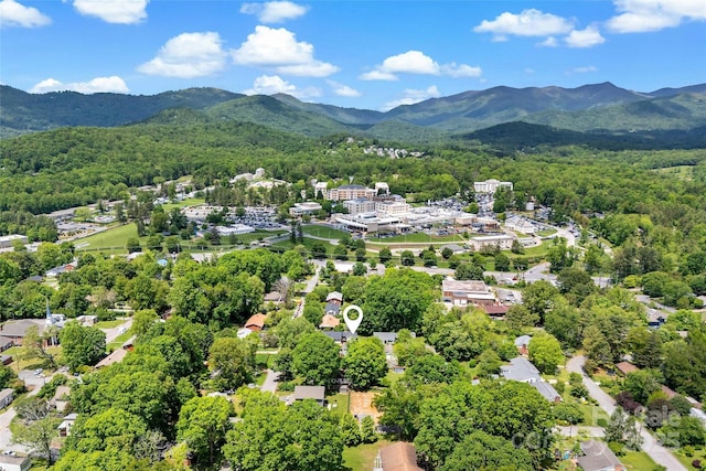 24 Browndale Rd, Asheville, NC 28805 - bird's eye view of mountains and a forest