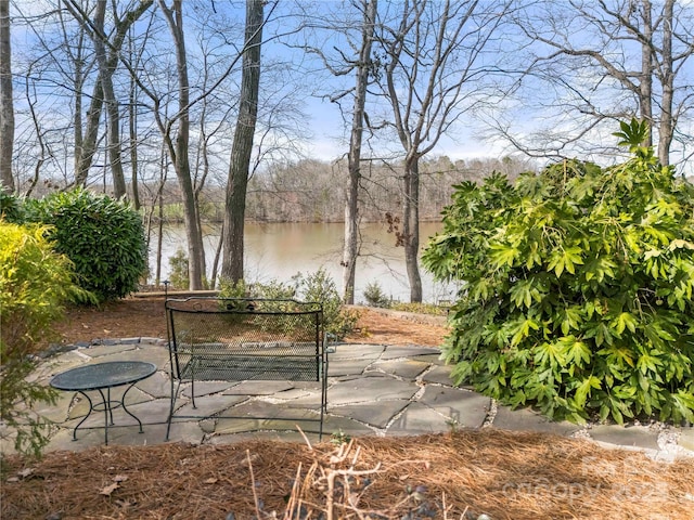 3115 Duck Point Dr, Monroe, NC 28110 - view of yard with a water view and a patio