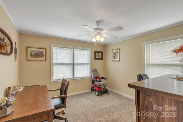 office space featuring carpet flooring, baseboards, ceiling fan, and crown molding