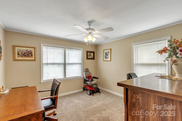 carpeted office featuring a ceiling fan, baseboards, and crown molding