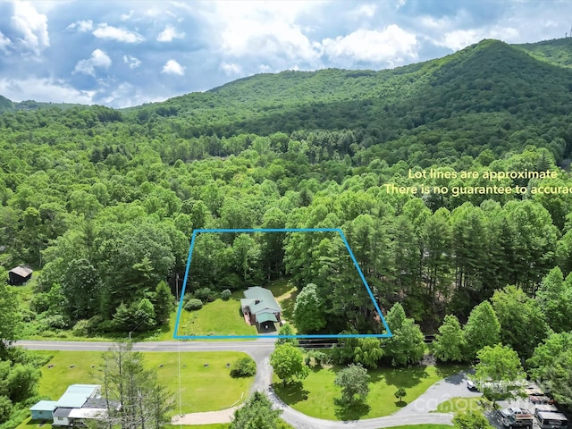 767 Brushy Creek Rd, Spruce Pine, NC 28777 - photo 34